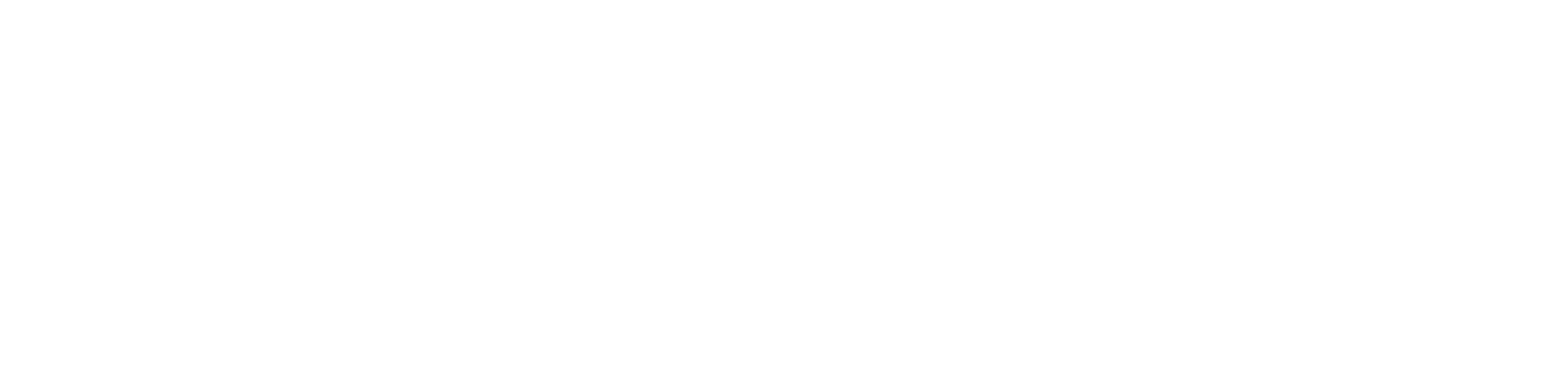 Epassi